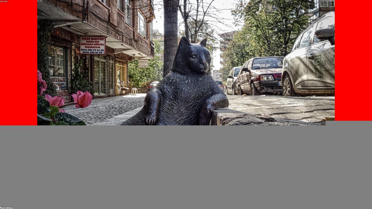 mk体育 APP — 行业资质清单示意配图